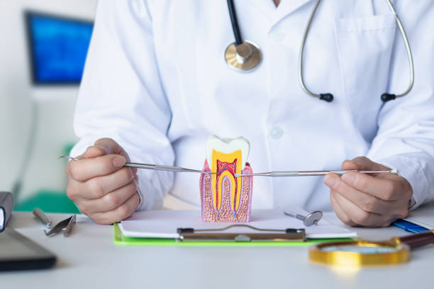 Best Orthodontic Emergency Dentist in Unionville, GA